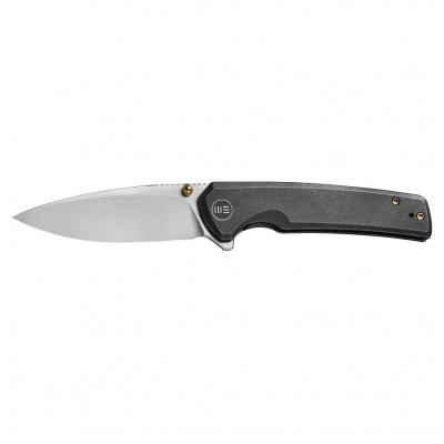 WE Knife Subjugator WE21014C-2 black / silver