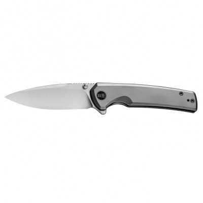 WE Knife Subjugator WE21014C-1 gray